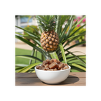 Awesome Value Pineapple Chunks 600gms