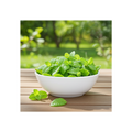 Maycees Giant Spearmint Leaves 140 count line