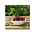 Rainbow Black & Reds 1kg Bag
