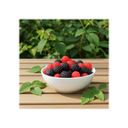 Rainbow Black & Reds 1kg Bag